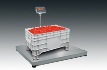 工業(yè)秤Miras系列